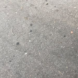 Meet your Posher, Eva